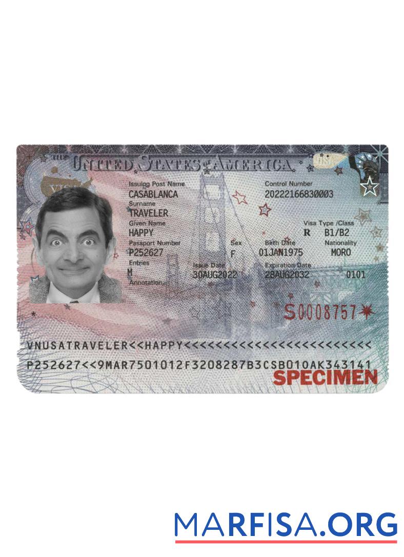 Printable Usa visa 2022 present template